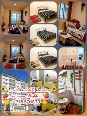 Putri Chantek Homestay Cameron Highland